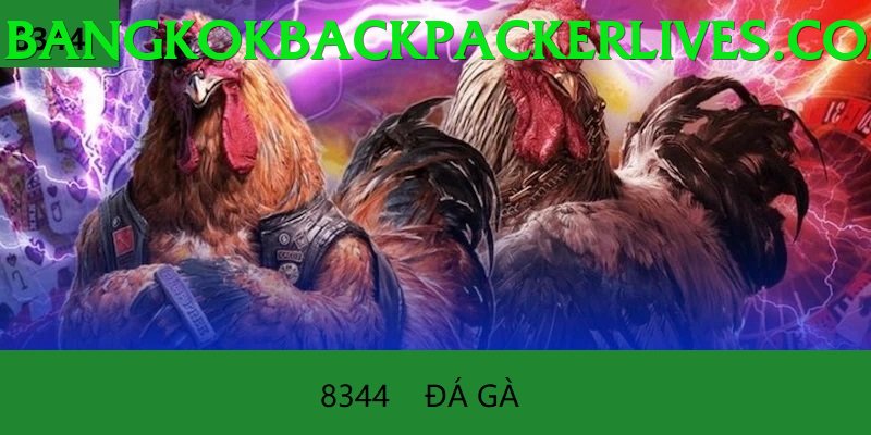 Đá Gà Trực Tiếp - Ưu đãi đặc biệt